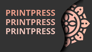 Business Startups Graphic Example C